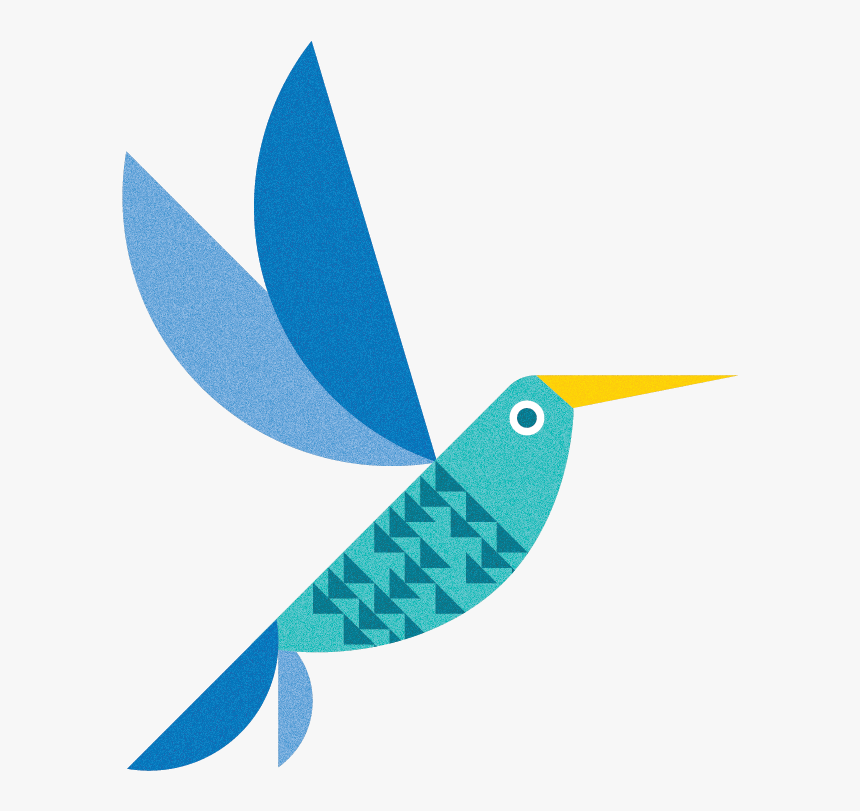 Hummingbird, HD Png Download