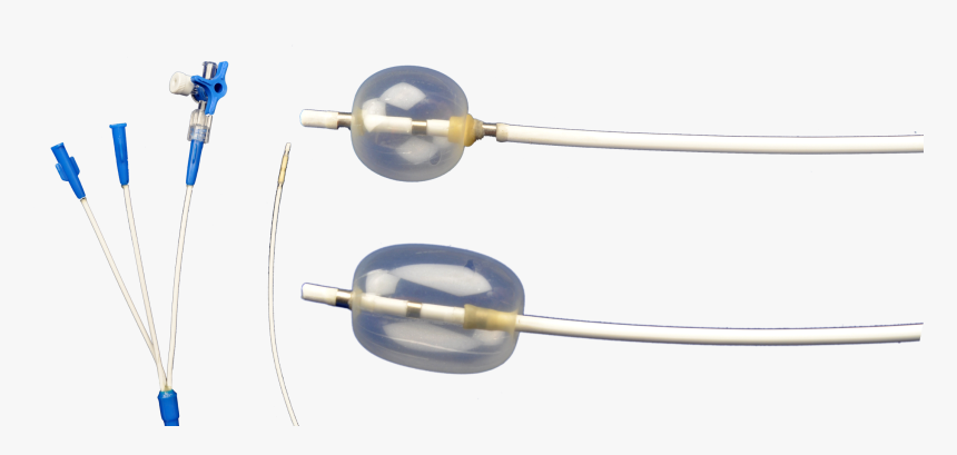 Extraction Catheter Biliary Stone Stone Extraction, HD Png Download