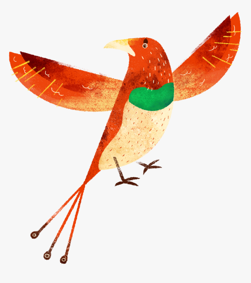 Birds, HD Png Download