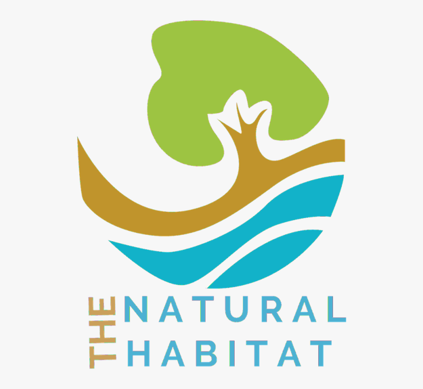 Graphic Design, HD Png Download