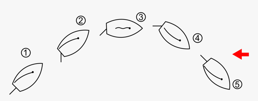 Virement De Bord Voile, HD Png Download