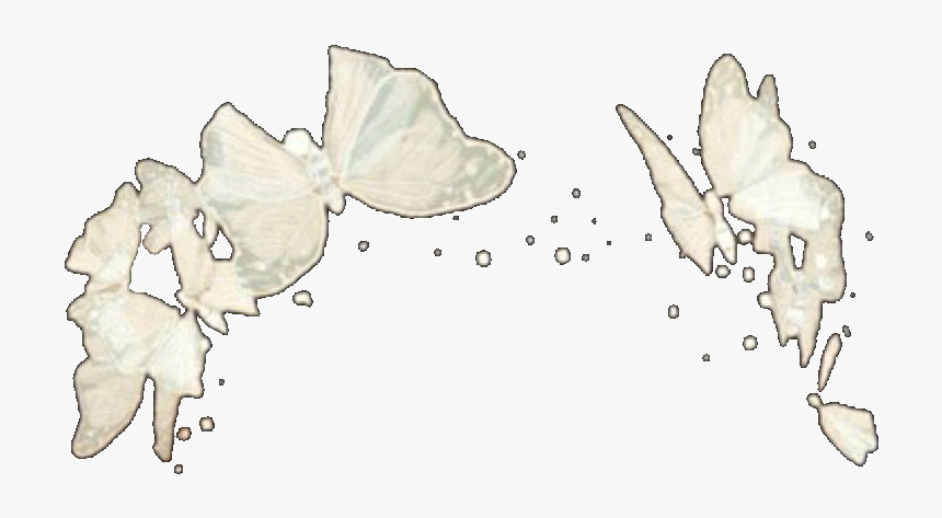 #butterfly #butterflies #crown #white #whitecrown #butterflycrown - White Butterfly Crown Png, Transparent Png
