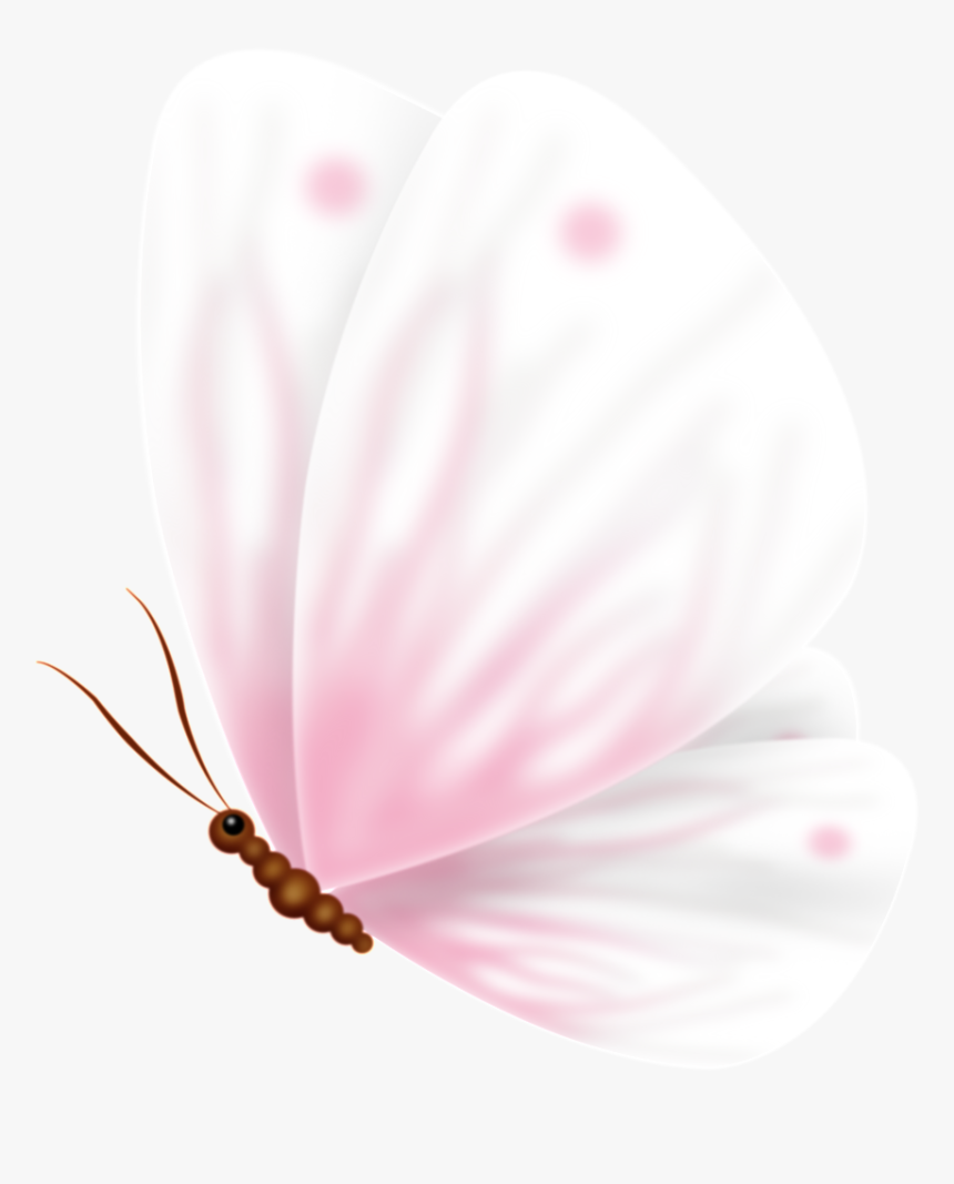 Pink Cute Sweet Butterfly Pass Transparent - Moth Orchid, HD Png Download
