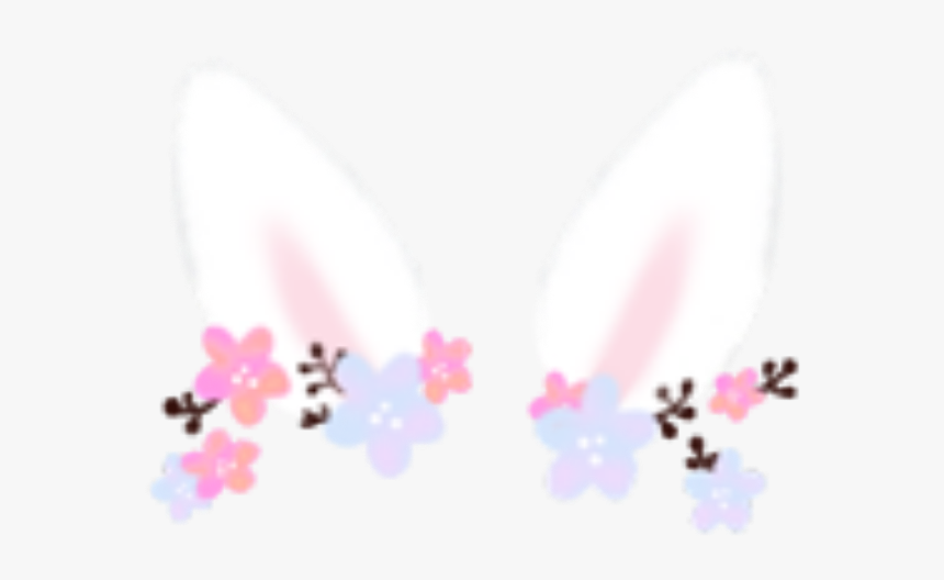 #rabbit #cute #animal #pink #flower #ears #freetoedit - Orchid, HD Png Download