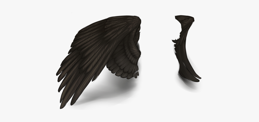 Raven, HD Png Download