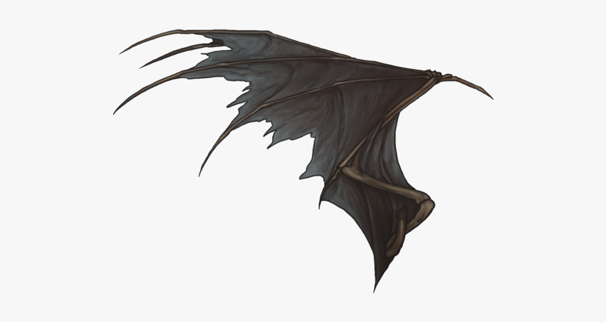 Dragon, HD Png Download