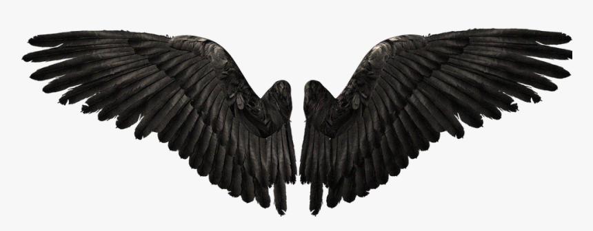 Devil Wings Png , Png Download - Devil Wings Png, Transparent Png