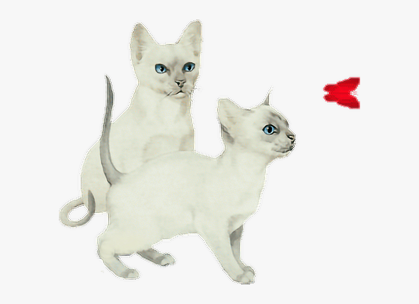 #cat #butterfly #anime #cute #ftestickers #love - Asian, HD Png Download
