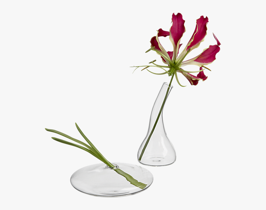 Bud Vases, HD Png Download