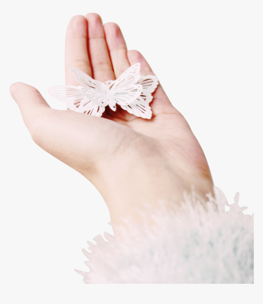 Butterfly In Hand Png Image - Butterfly In Hand, Transparent Png