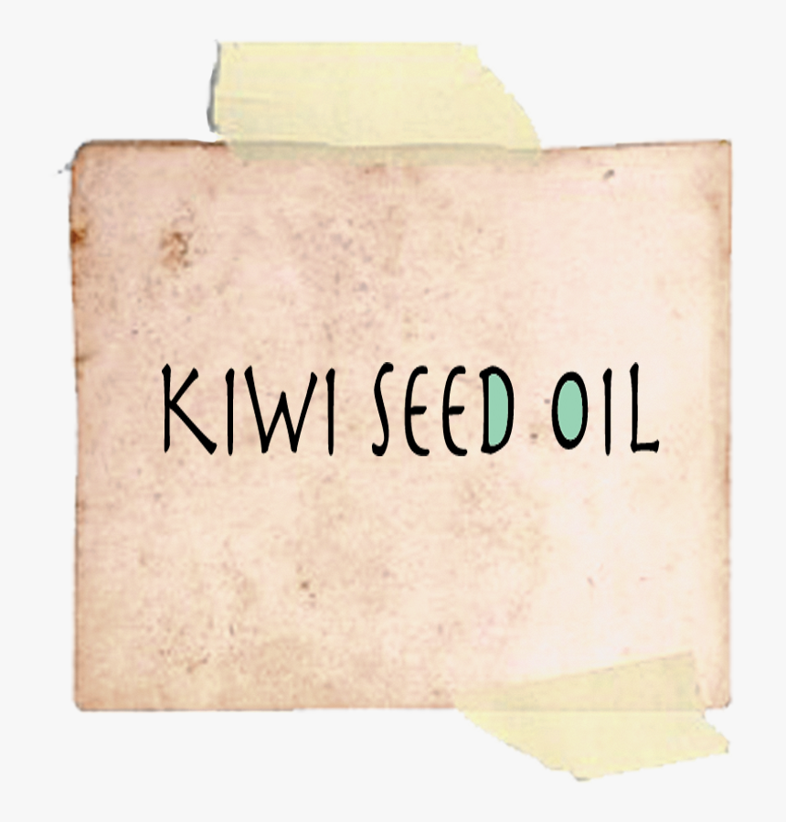 Paper, HD Png Download