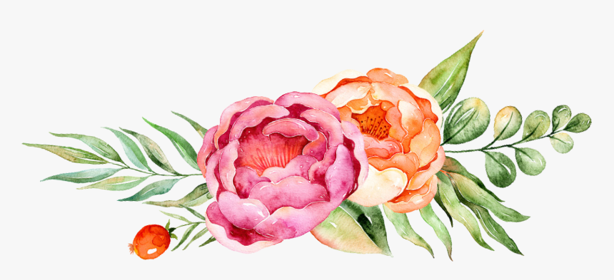 Succulent Png, Transparent Png