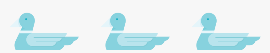 Duck, HD Png Download