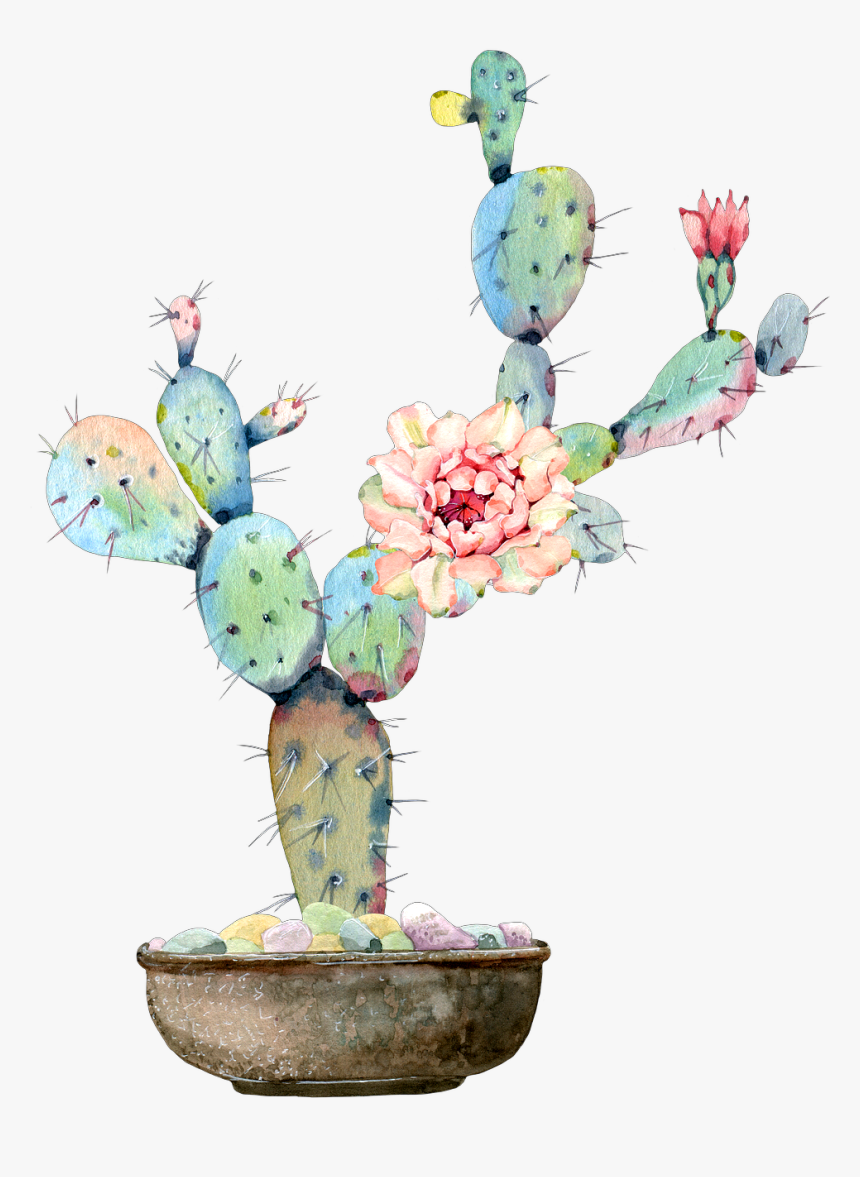 Cactus Flower Watercolor Art Desert Cactus And Flowers Water Color Hd Png Download Transparent Png Image Pngitem