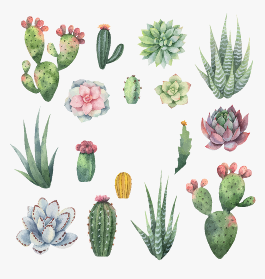 #cactus #watercolor, HD Png Download