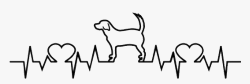 #heartbeat #doggy #dog #pets - Heart Cat Pulse, HD Png Download