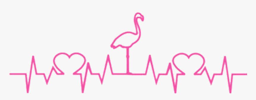 Download Heartbeat Flamingo Hearts Pink Heartbeat Line Cat Svg Hd Png Download Transparent Png Image Pngitem PSD Mockup Templates