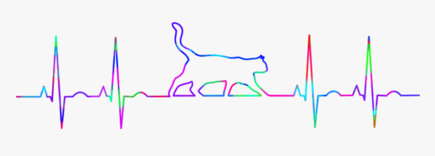 #freetoedit Heartbeat Cat - Plot, HD Png Download