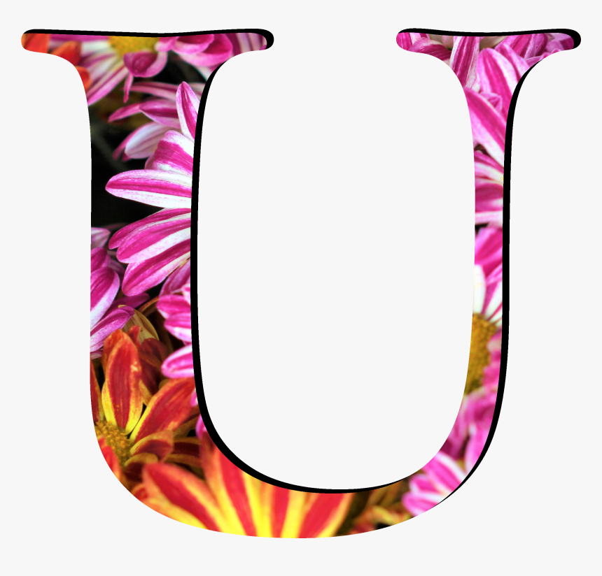 Flower Pattern Letters U - Vase, HD Png Download