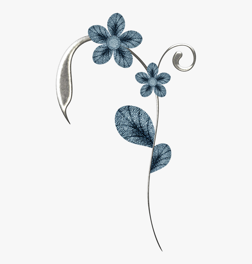 Hard-leaved Pocket Orchid, HD Png Download