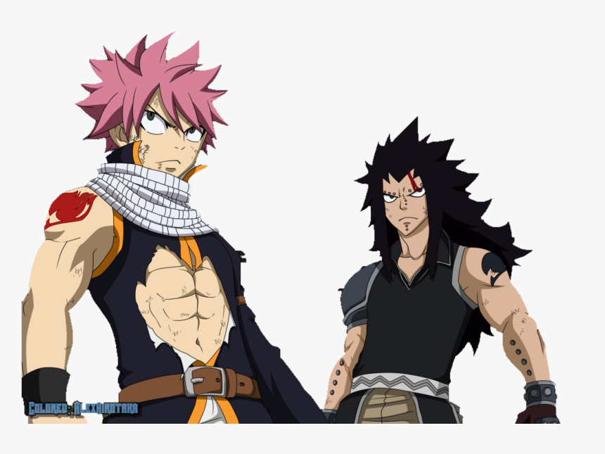 Fairy Tail 2 Gajeel, HD Png Download