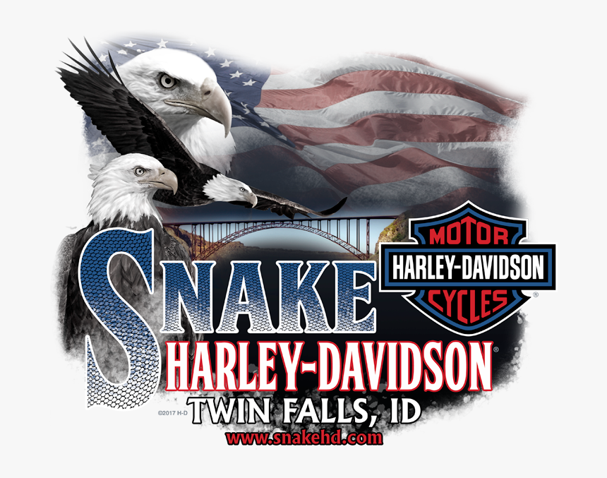 Harley Davidson, HD Png Download