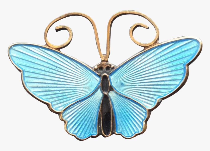 Papilio, HD Png Download