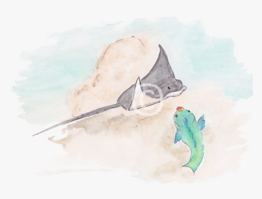 Illustration Of Eagle Ray And Parrotfish From The Book - Stingray, HD Png Download