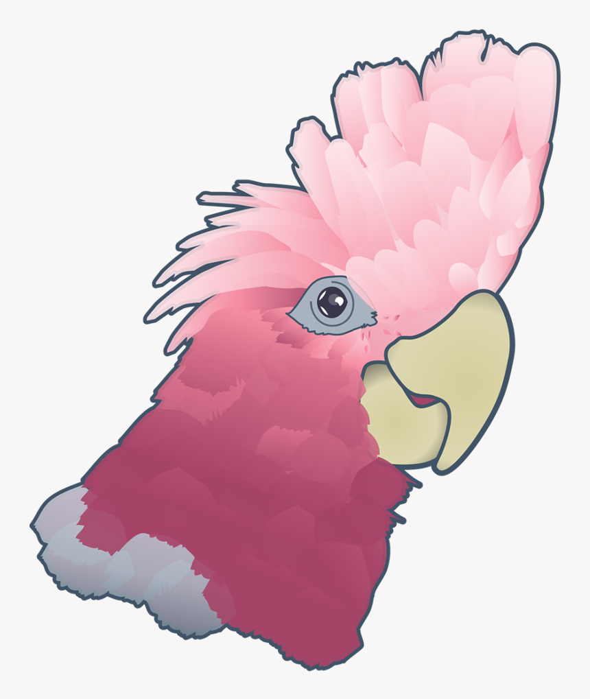 Cockatoo, HD Png Download