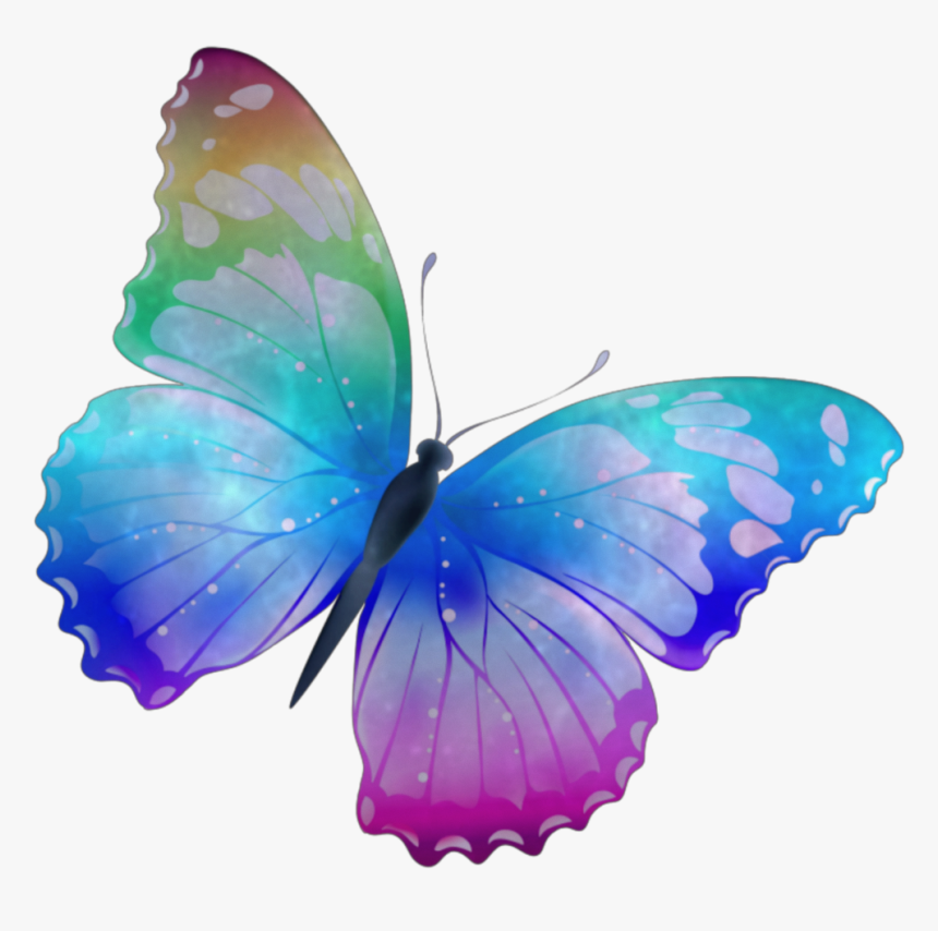 #kyliejenner #nelsonmandela #pink #purple #blue #blood - Butterfly Design, HD Png Download