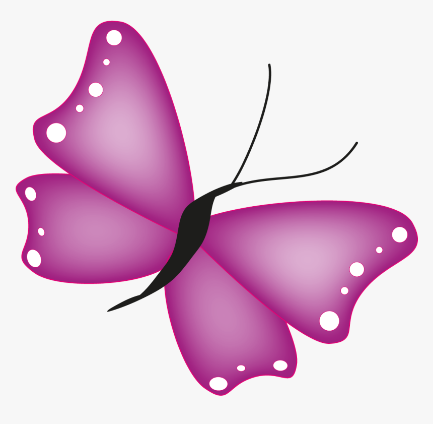 Papillon Illustration, HD Png Download