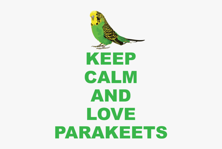 Budgie, HD Png Download