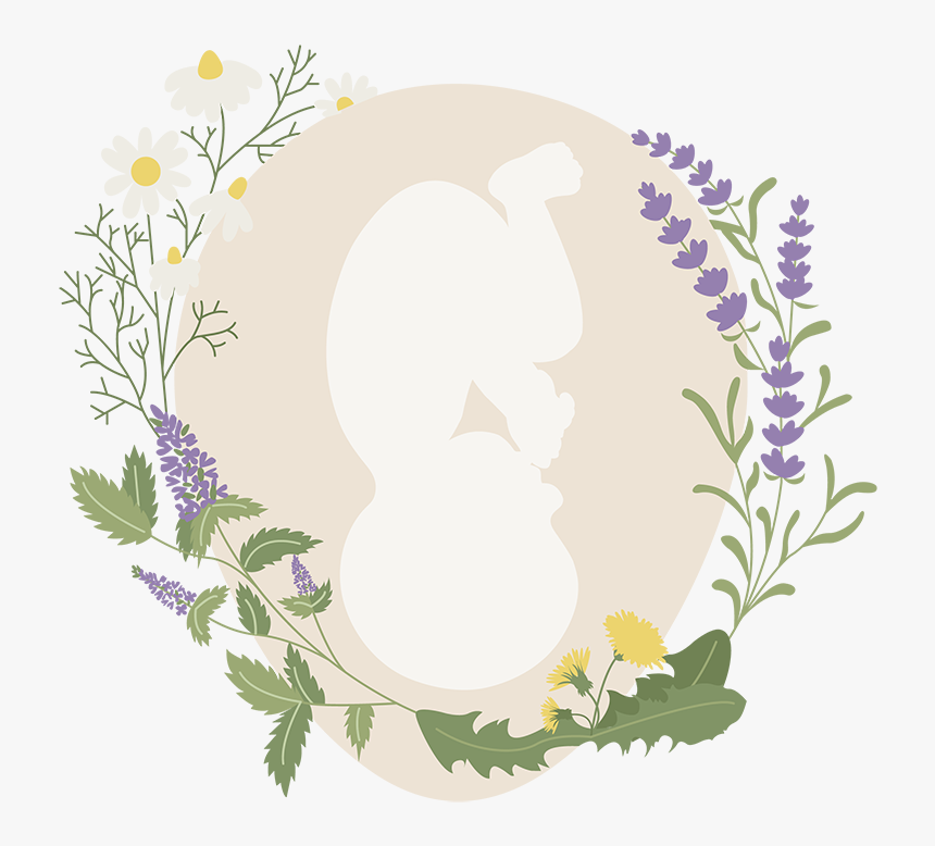 Ma Homebirth Midwife Dina Fraize Cpm, HD Png Download