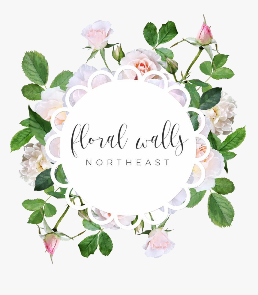 Garden Roses, HD Png Download