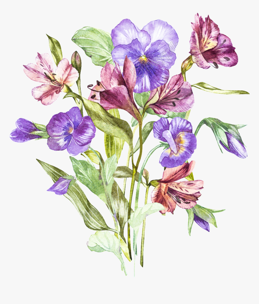 Alstroemeria Flower Drawing, HD Png Download