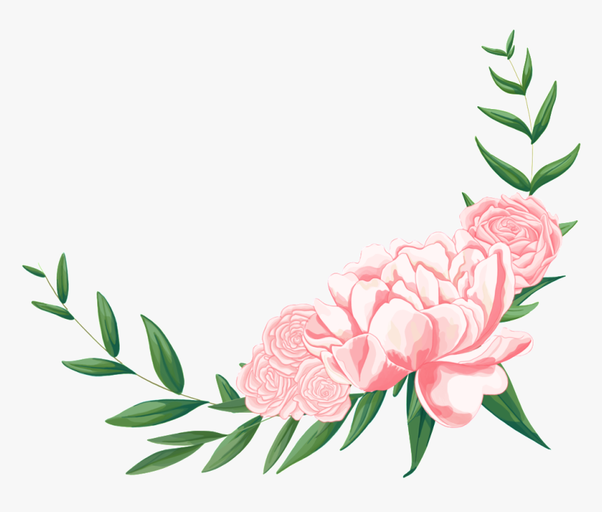 Hand Painted Fresh Notebook Foot Flower Png Transparent - Common Peony, Png Download