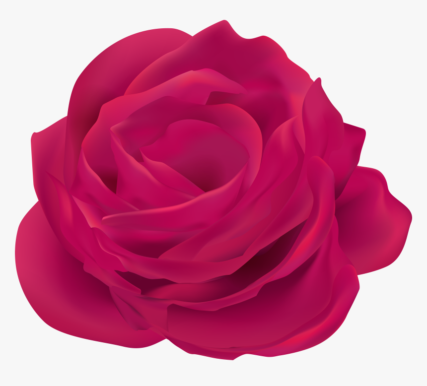 Pink Rose Flower Clip Art Image​, HD Png Download