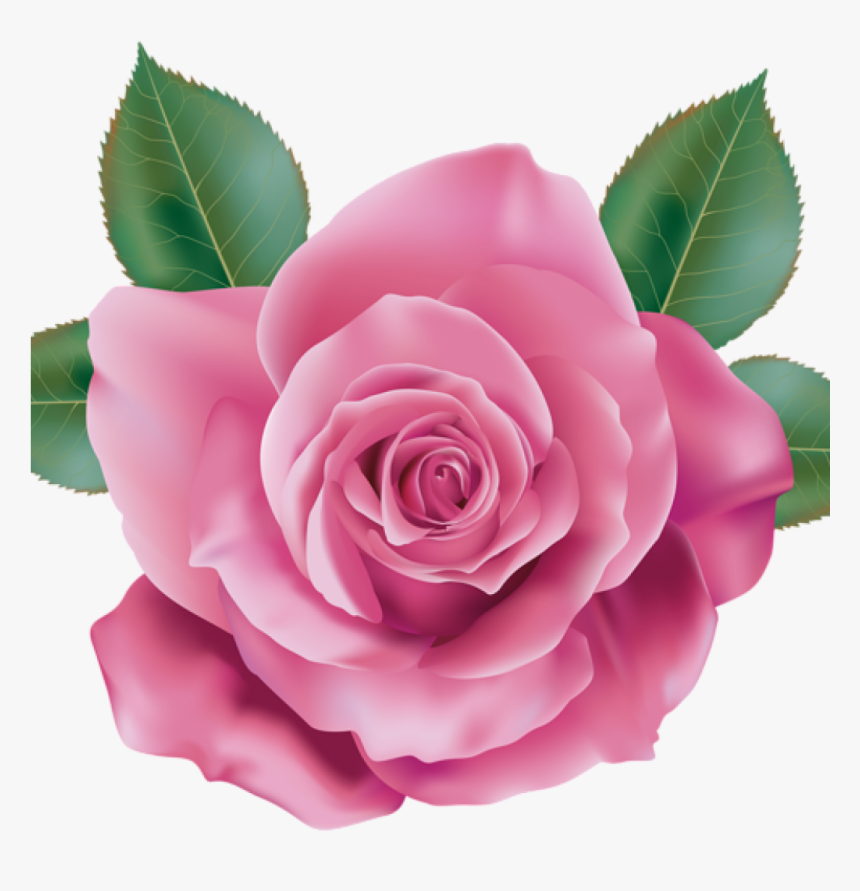 Pink Rose Clipart Rose Clipart Pink Rose Transparent - Rose Pink Flower Design, HD Png Download