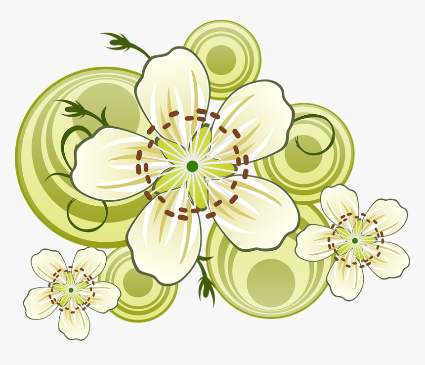 Jasmine, HD Png Download