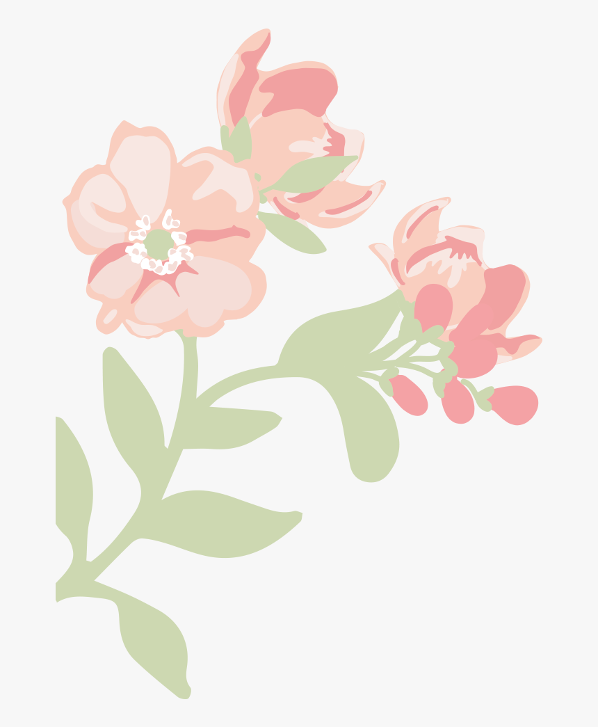 Jasmine, HD Png Download