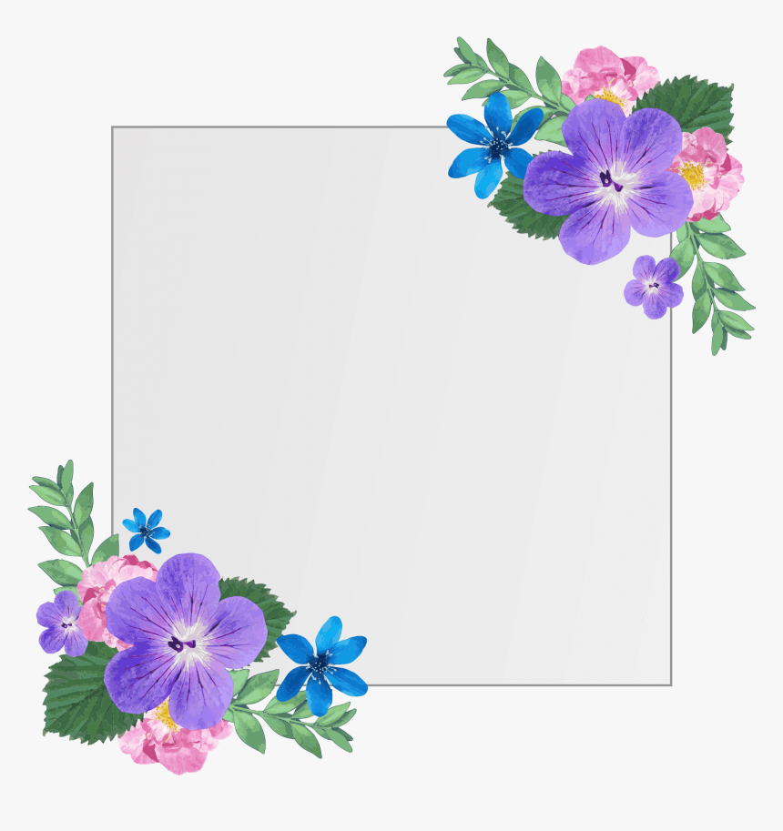 Primula, HD Png Download