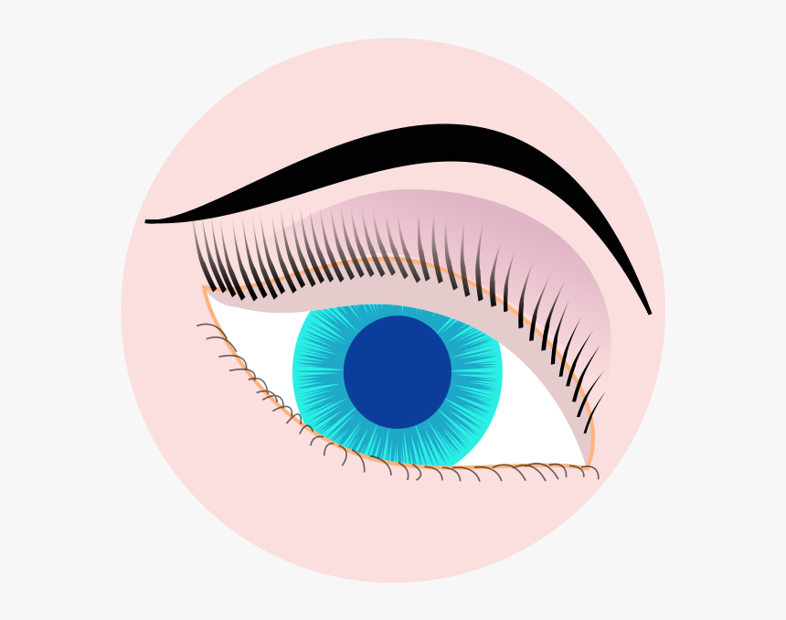 Devils Eyes Clip Art Download - Lashes In Circle Icon Clipart Transparent, HD Png Download