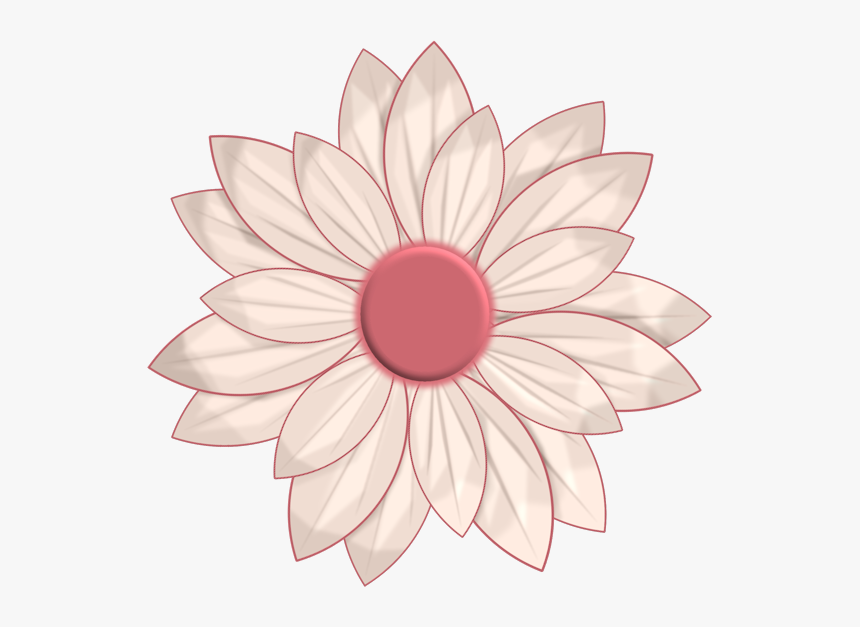 Daisy Family, HD Png Download