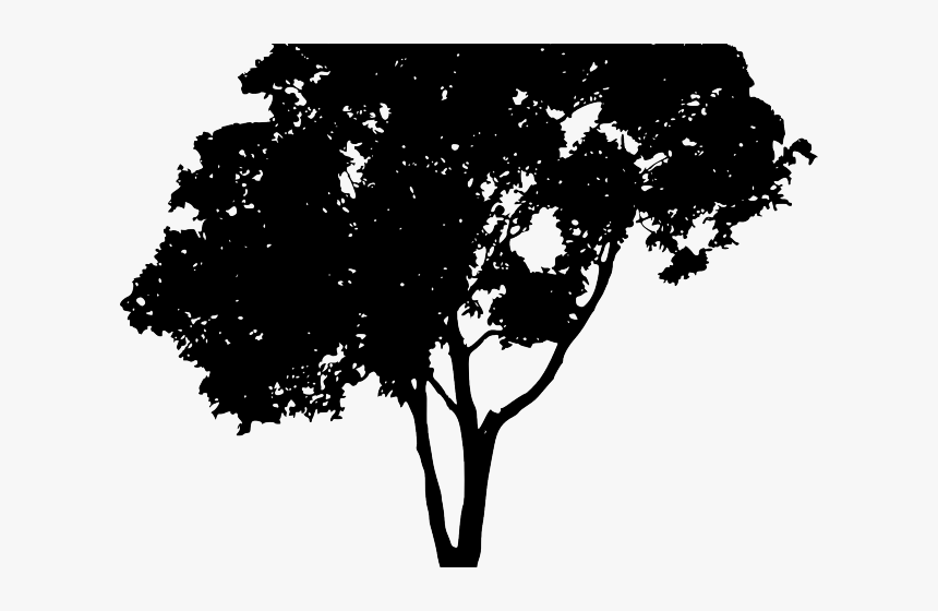 Tree Vector Png - Tree Silhouette Png, Transparent Png