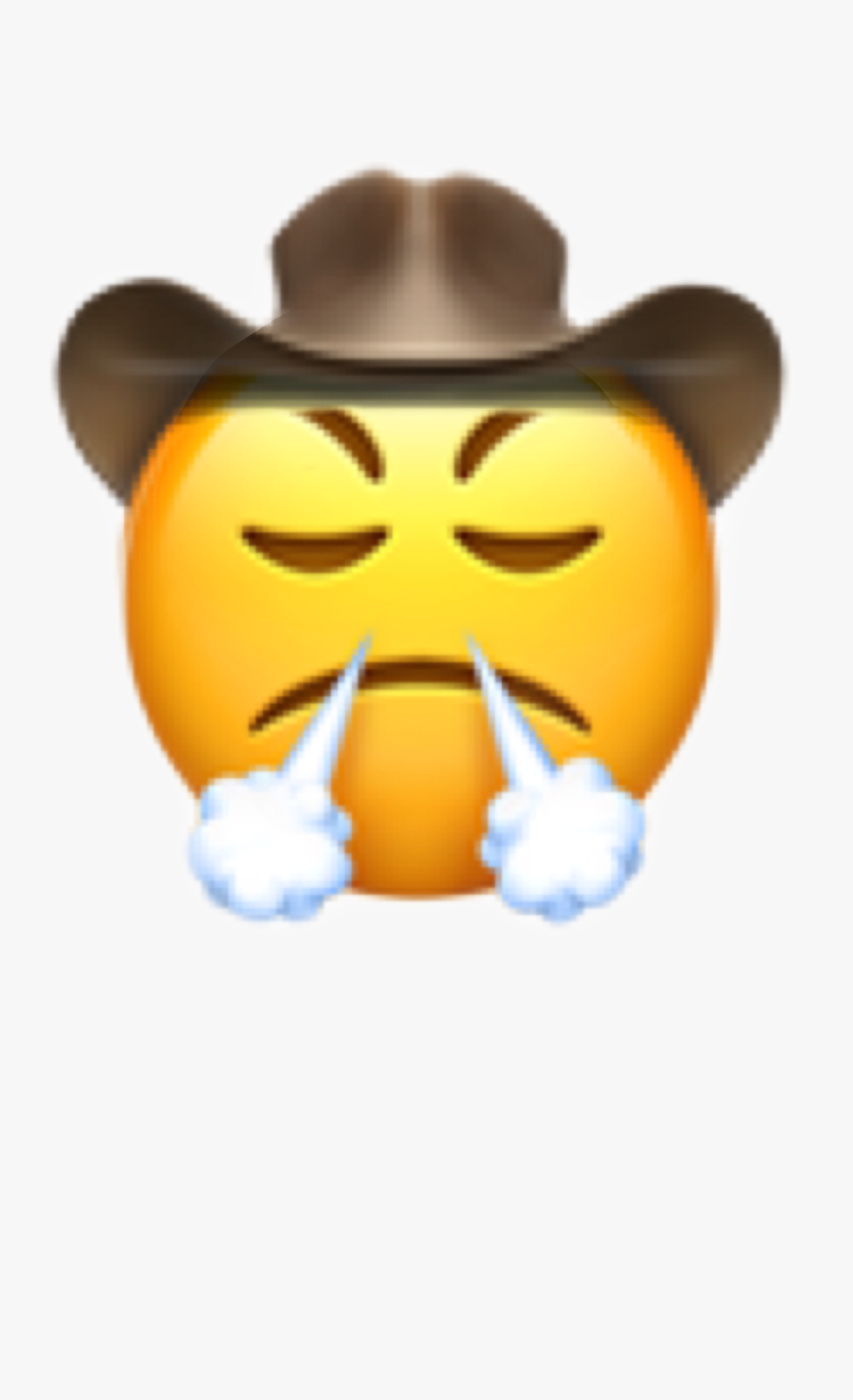 Hehe🤠 - Face With Steam From Nose, HD Png Download