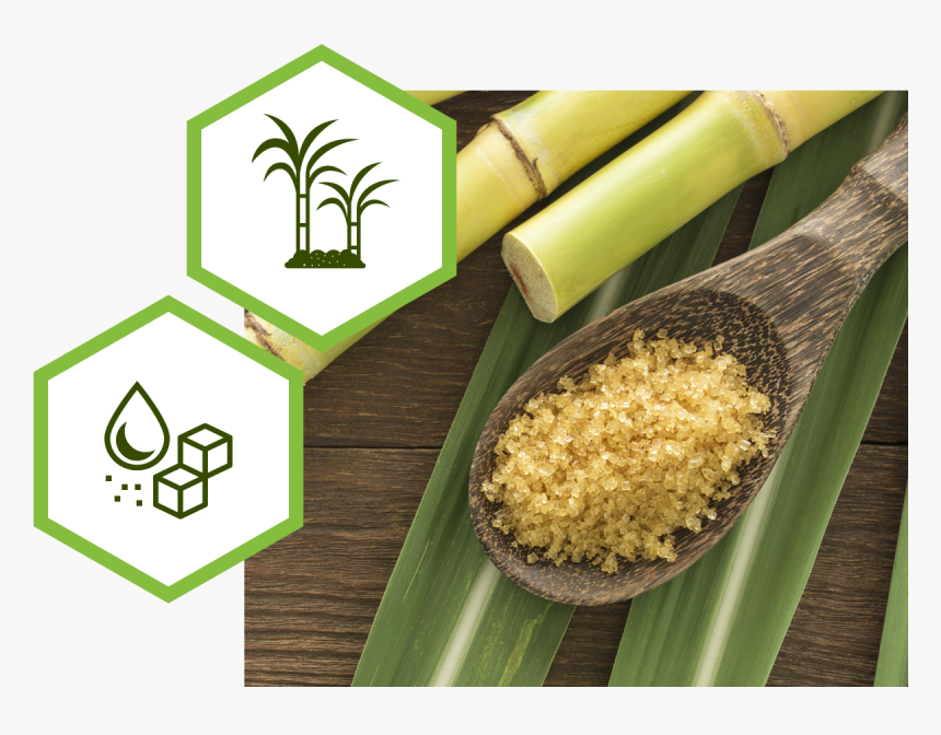 Esmer Şeker Nasıl Olur, HD Png Download