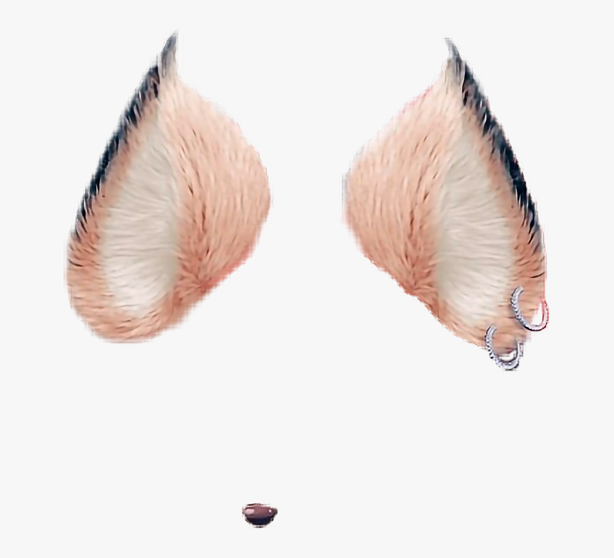 #snapchat #filter #rebel #fox #cute #beauty #beautiful - Cute Transparent Snapchat Filters, HD Png Download