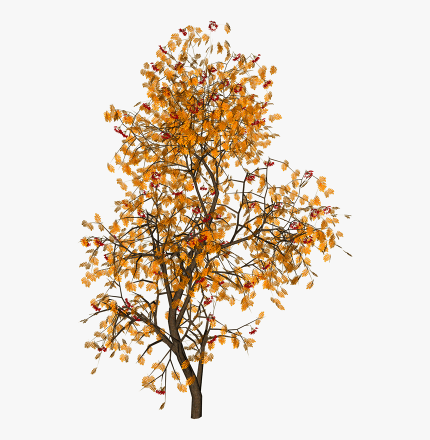 Autumn Psd, HD Png Download