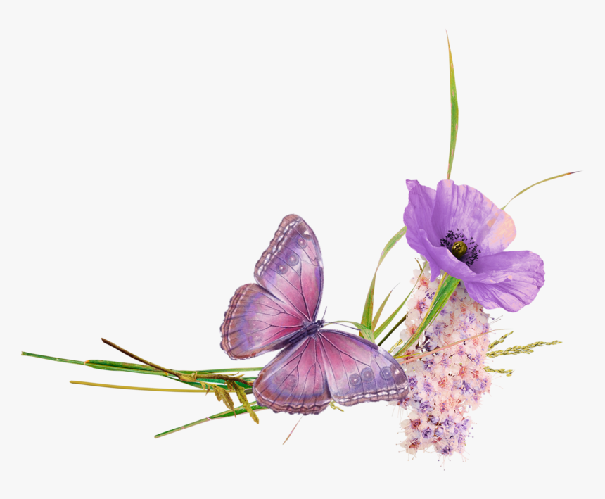 Imgpng ru png картинки с прозрачным фоном