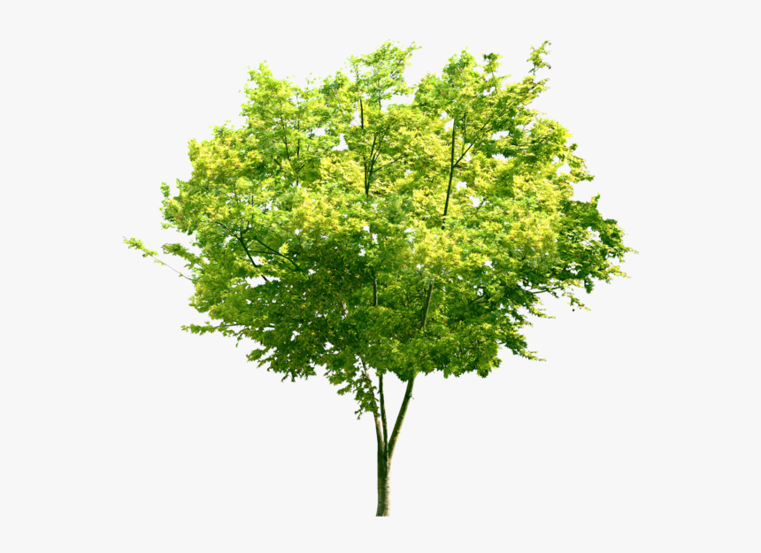 Portable Network Graphics, HD Png Download